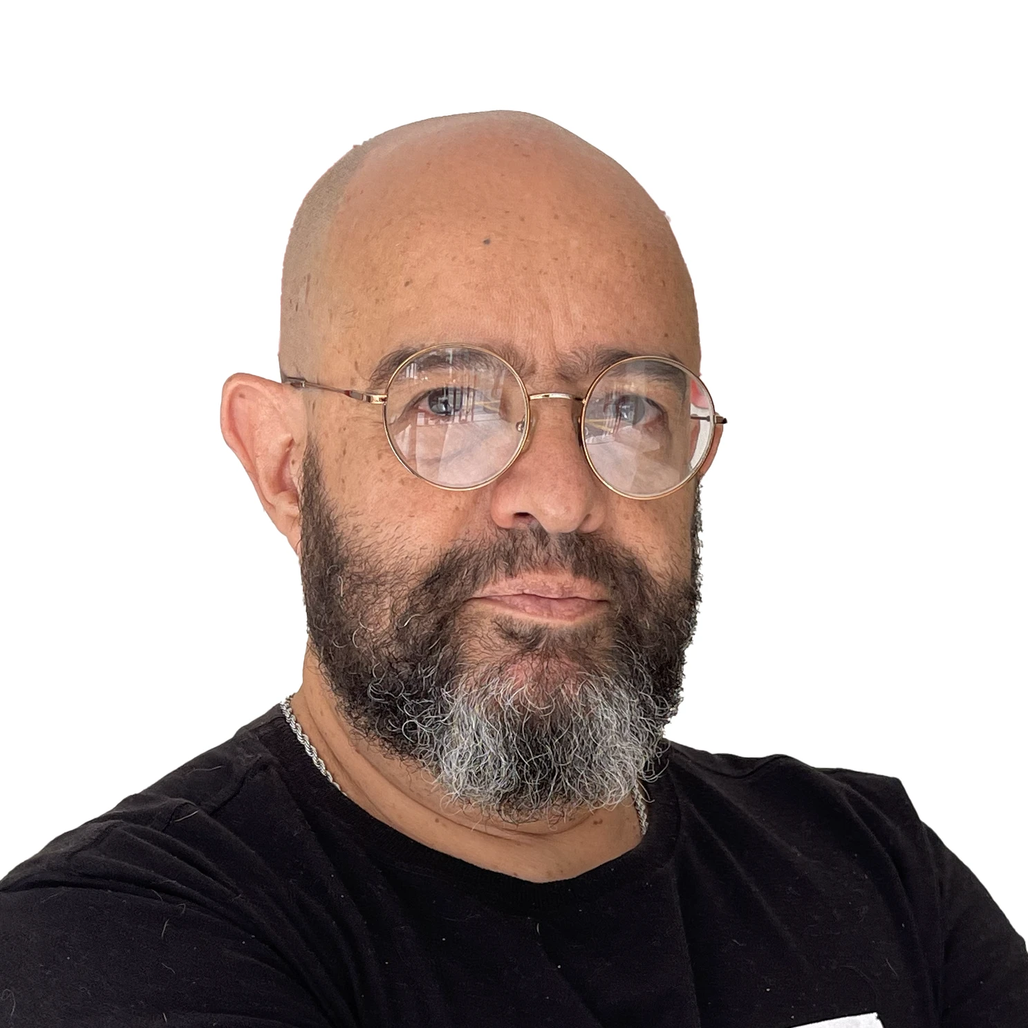 Professores 35 Sergio Ingles copy