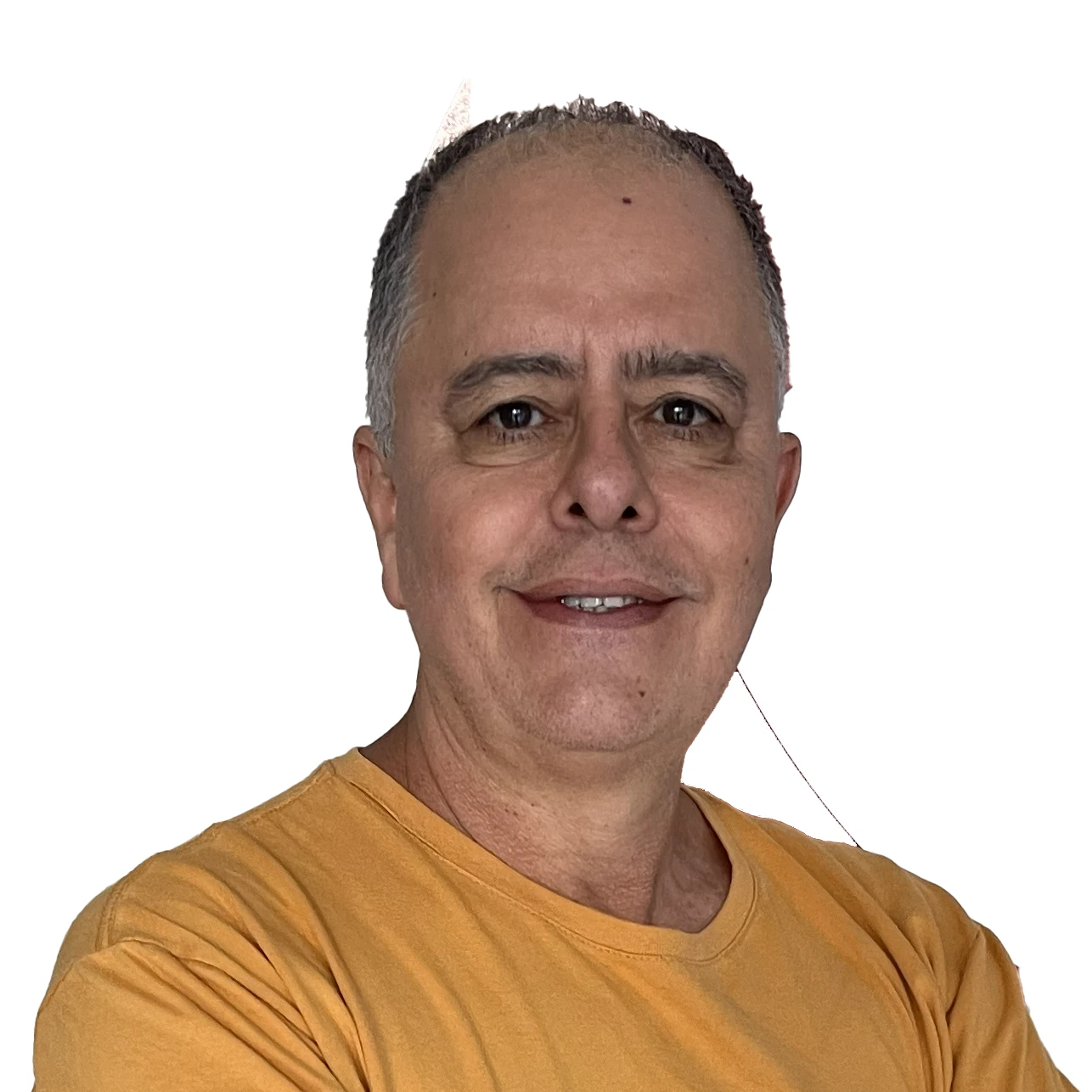 Professores 40 Zoim Fisica copy